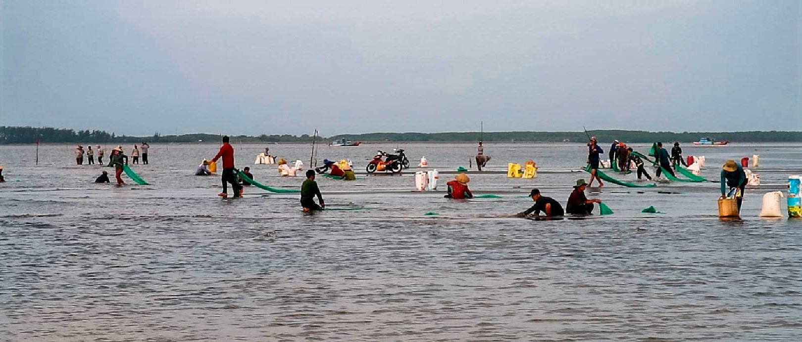 anh-khai-thac-ngheu-chot-bach-long